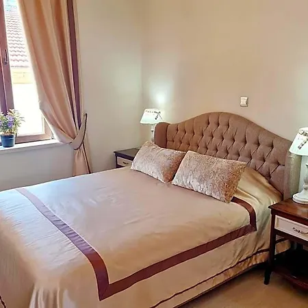 In Guest - Sofia Boutique 9