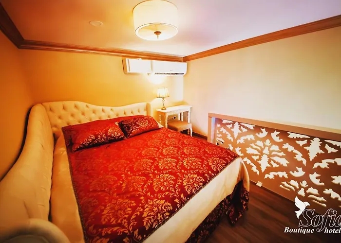 In Guest - Sofia Boutique 9 キレニア